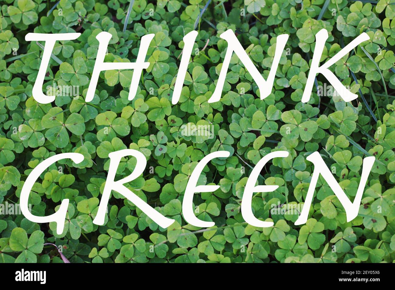 Text 'Think Green' in einem natürlichen Hintergrund Stockfoto