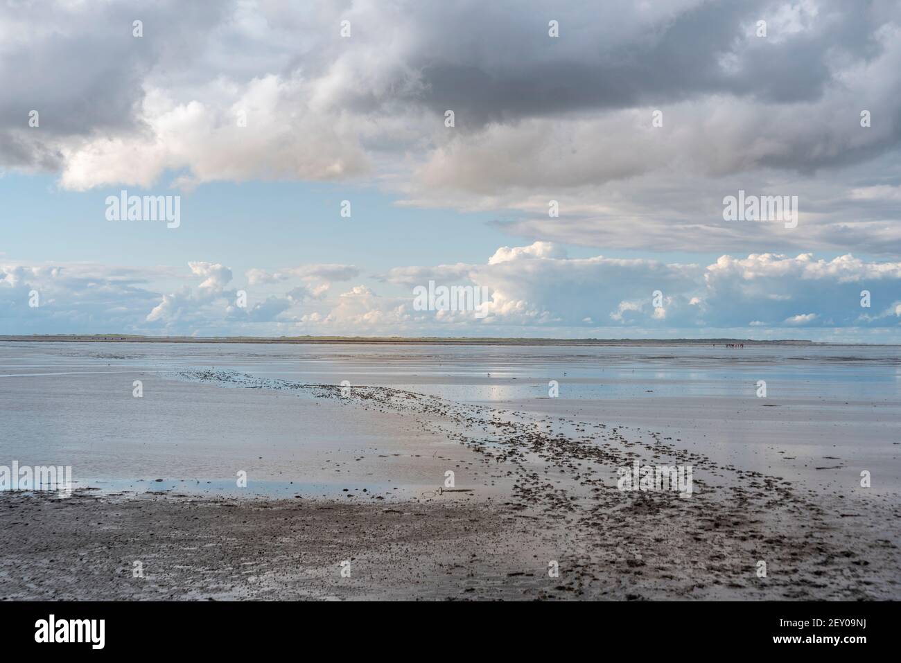 Landschaft im Nationalpark Wattenmeer, Harlesiel, Niedersachsen, Deutschland, Europa Stockfoto