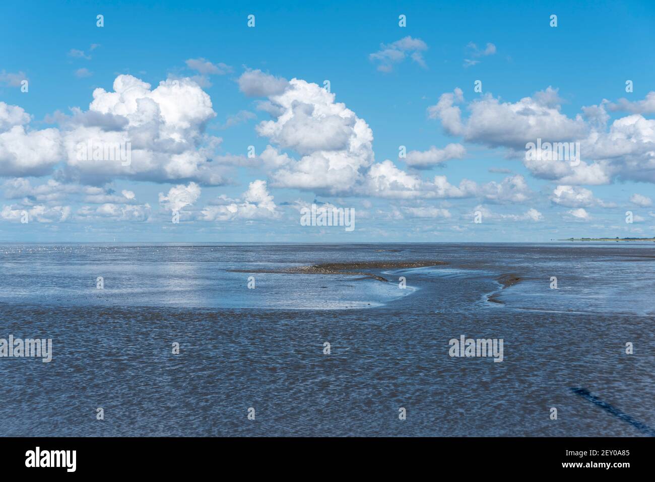 Landschaft im Nationalpark Wattenmeer, Harlesiel, Niedersachsen, Deutschland, Europa Stockfoto