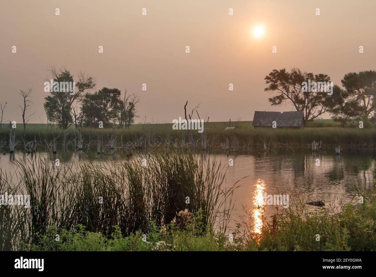 Smoky Sunrise 11th. August 2018 Lake County, South Dakota Stockfoto