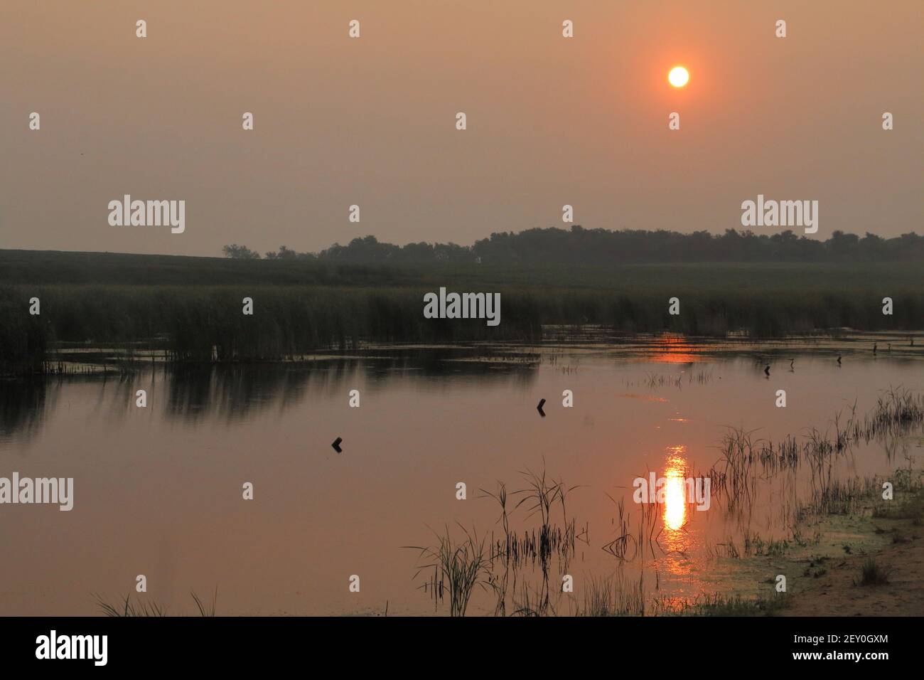 Smoky Sunrise 11th. August 2018 Lake County, South Dakota Stockfoto
