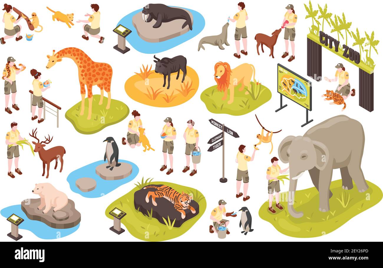 Isometrischer Zoo mit isolierten Bildern von Tieren menschlichen Charakteren Von Personal und Tierpark Artikel cector Illustration Stock Vektor
