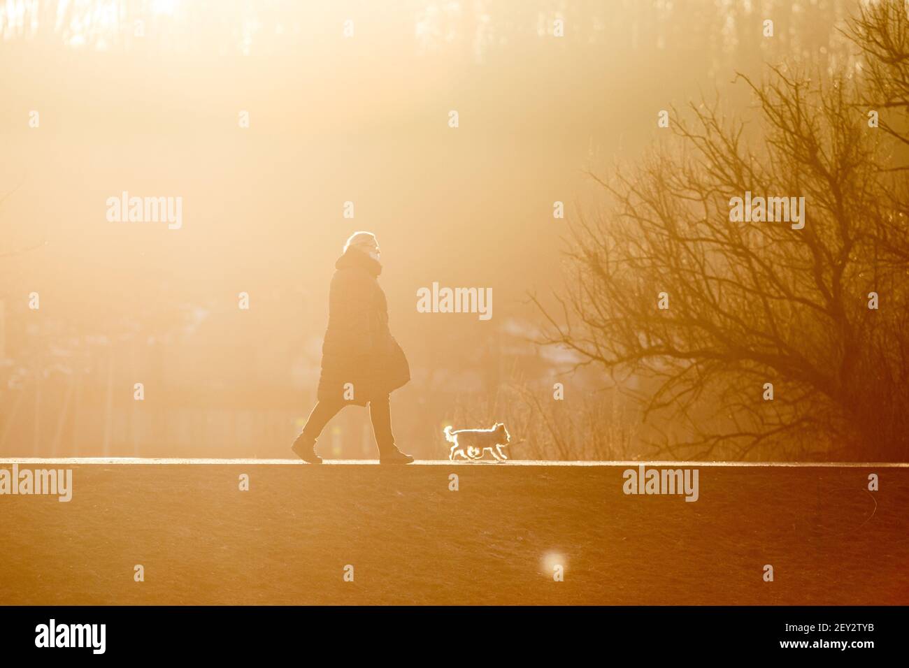 Frau und Hund Silhouette in orange Sonnenuntergang. Spaziergang im Park mit Hund Stockfoto