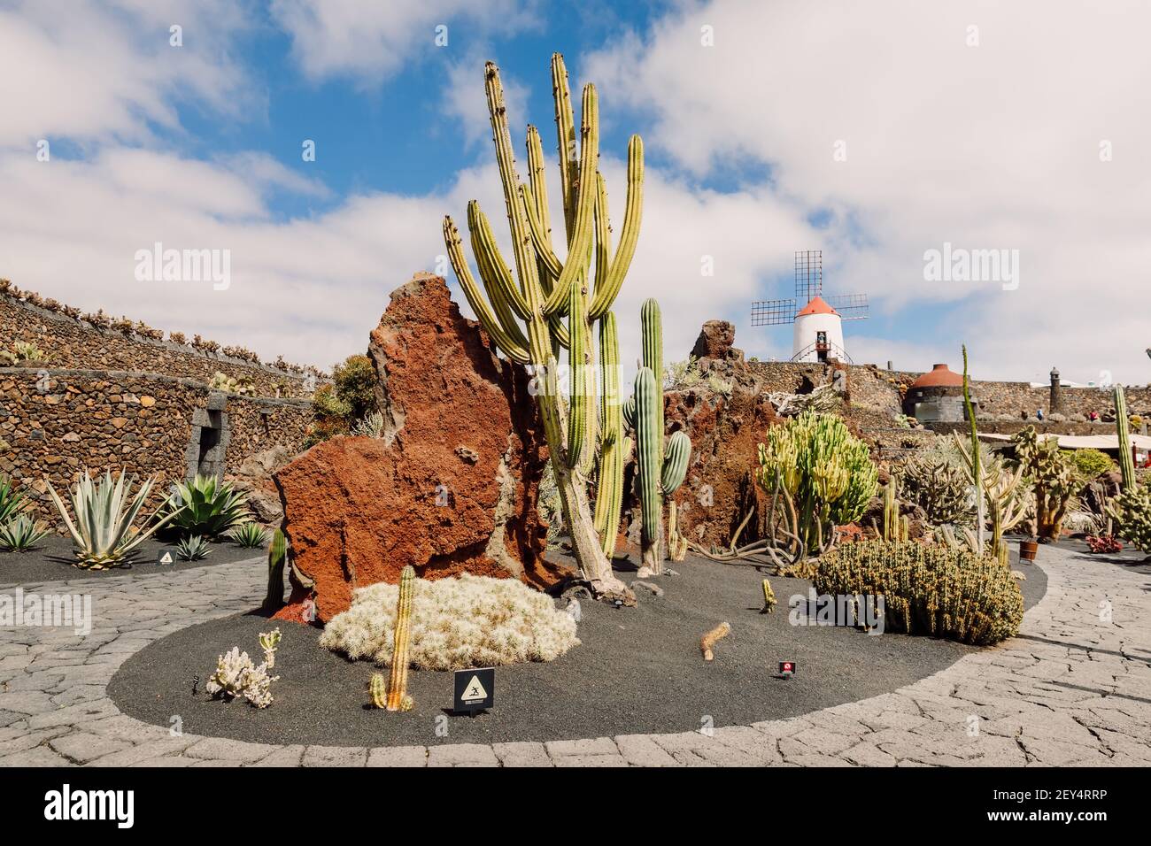 Kaktusgarten auf Lanzarote, Kanarische Inseln Stockfoto