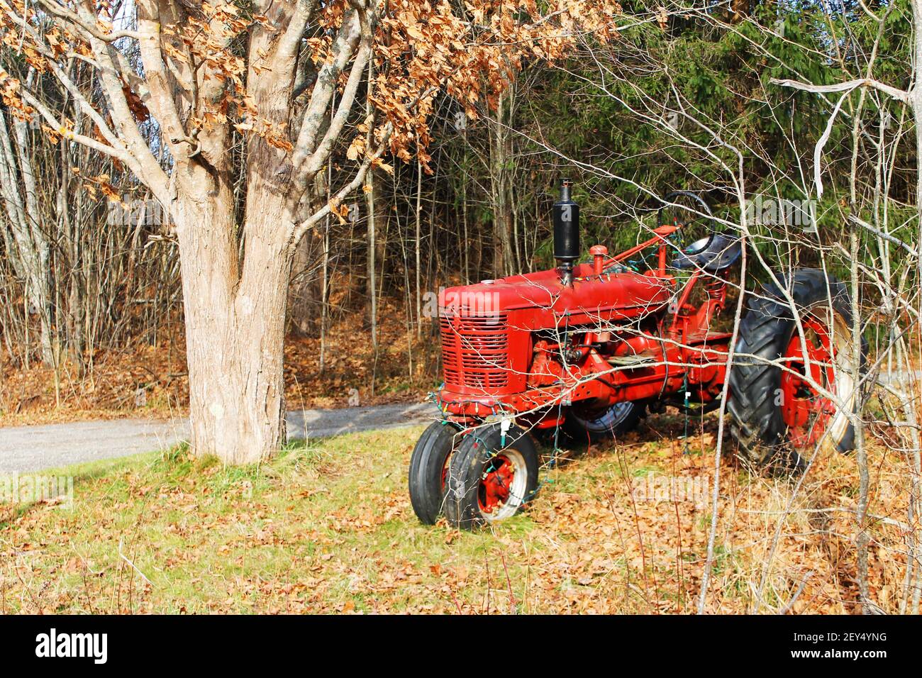Ein kleiner, altmodischer, roter Bauernhof Traktor geparkt entlang einer Landstraße, zwischen den Bäumen, Herbst. Der Traktor wurde mit Weihnachtsbeleuchtung aufgereiht. Stockfoto