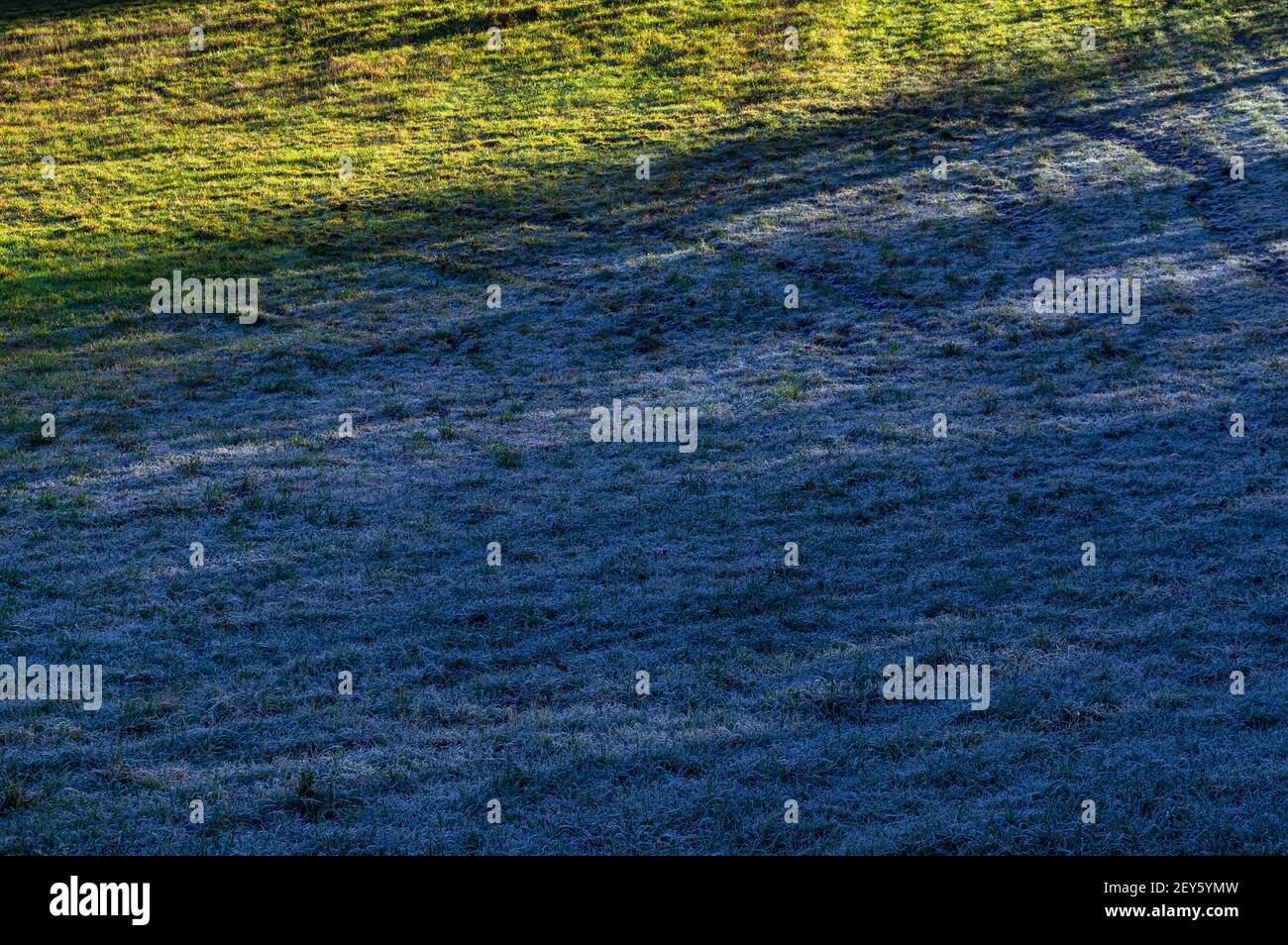 Frostiger Boden wird an einem sonnigen Wintertag auf einem Feld in der Landschaft von Hampshire von der Sonne aufgetaut. Hampshire, England. Stockfoto