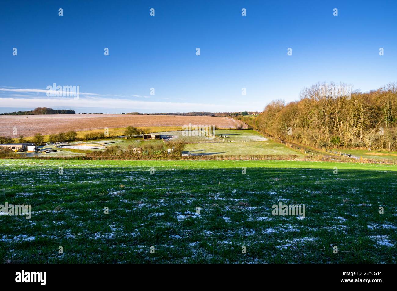 Frostiger Boden in der ländlichen Landschaft von Hampshire unter blauem Winterhimmel. England. Stockfoto