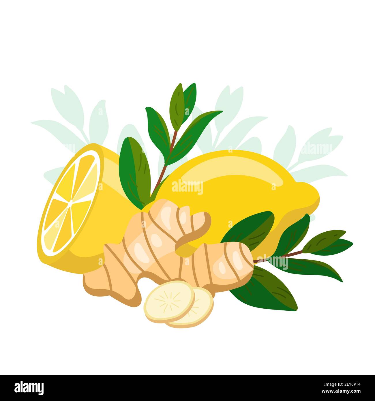 Zitrone mit Ingwer und Minze. Natürliche Medizin, Anti-Grippe-Zutaten. Ingwerwurzel, melissa grüne Kräuterblätter und Zitrusfrüchte Scheibe. Naturbelassen Stock Vektor