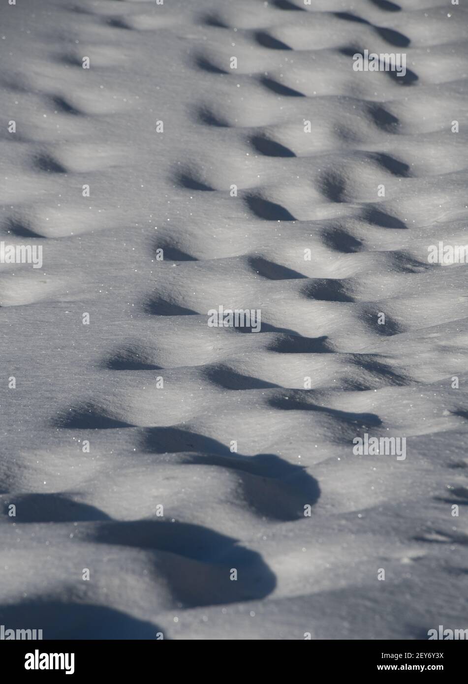 Schritte im Schnee Weglöcher im Schnee von jemandem, der zu Fuß in tiefem Schnee im Freien im Schnee an sonnigen, kalten Tagen geht, werfen Schatten in das Trittloch Stockfoto