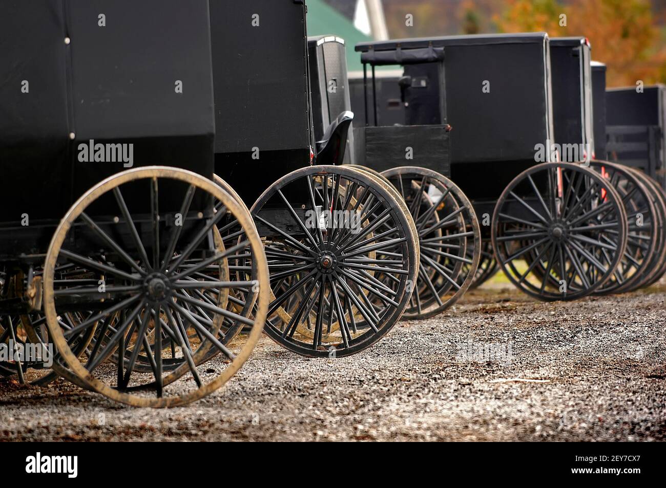 Amish überdachte Buggy Transportwagen geparkt auf einem Markt Sugarcreek Und Millersburg Ohio OH Stockfoto