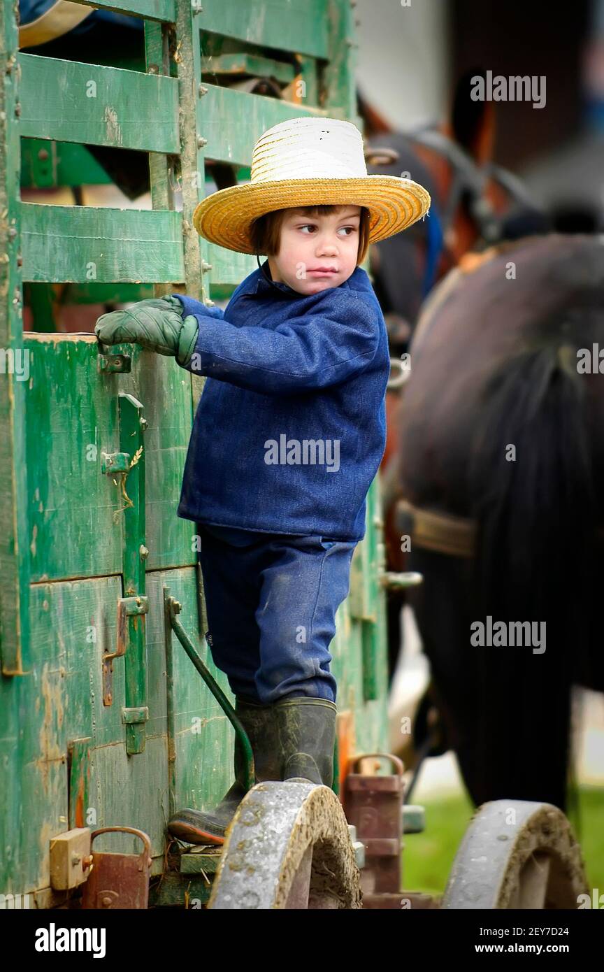 Amish Junge auf Waggon in Sugarcreek und Millersburg stehen Ohio, OH Stockfoto