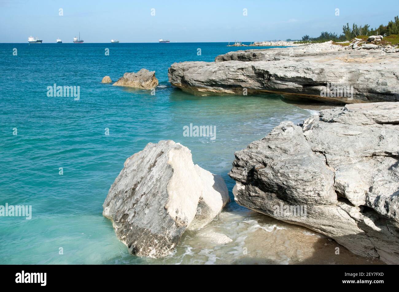 Das Land, das auf der Insel Grand Bahama auseinanderfiel, erodierte Ufer. Stockfoto