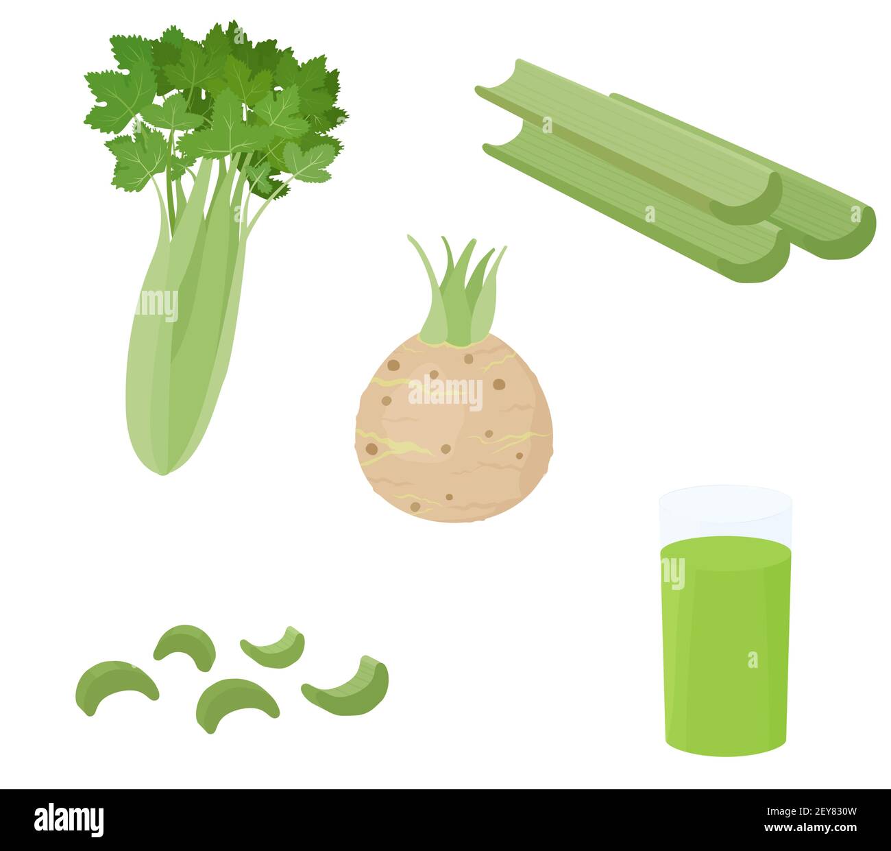 Grüne Sellerie Gemüsebalmen und Wurzel isoliert auf weißem Hintergrund. Gesunde diätische bunte Lebensmittel Zutat Vektor Cartoon Illustration. Stock Vektor