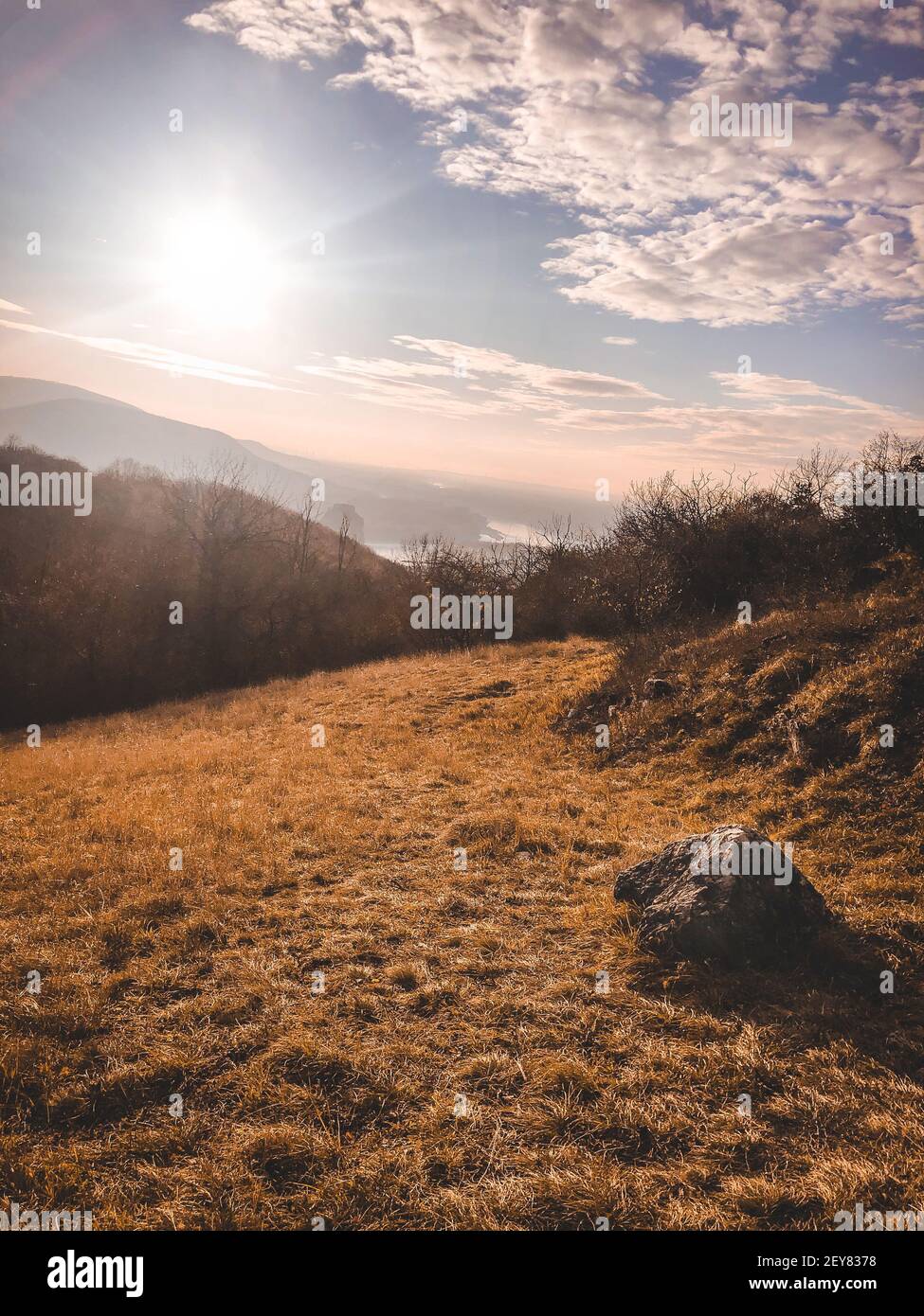 Herbst oder Winter orange gefärbte Landschaft mit Gras und Bäumen im Sonnenlicht. Farben der Natur. Stockfoto