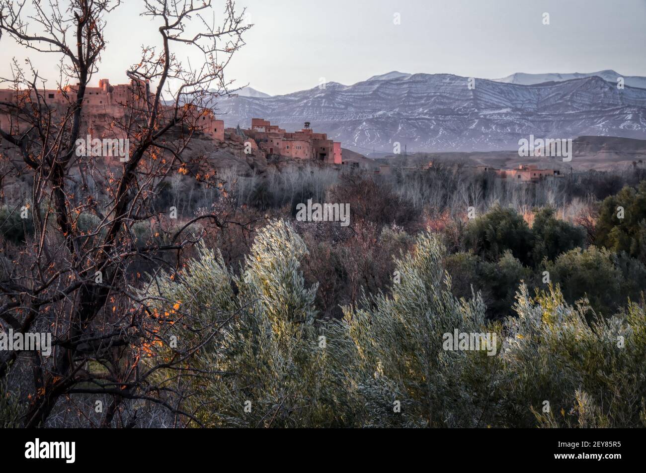 Kleines Dorf in Marokko in der Nähe von Bergen und Sträuchern Stockfoto