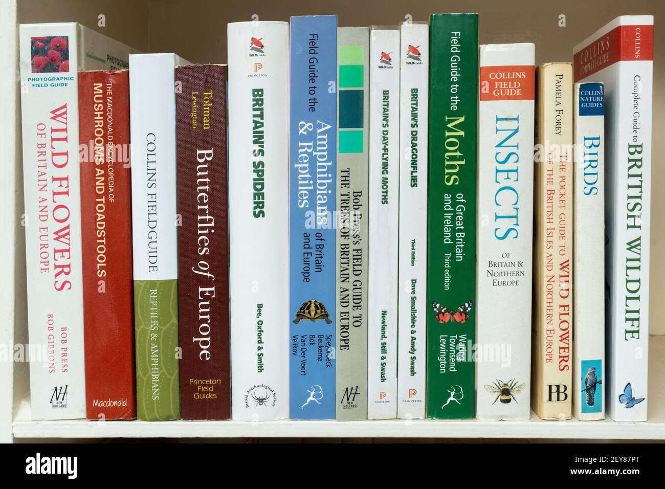Auswahl an Wildlife Büchern und Field Guides über Flora und Fauna auf einem Bücherregal, Großbritannien Stockfoto