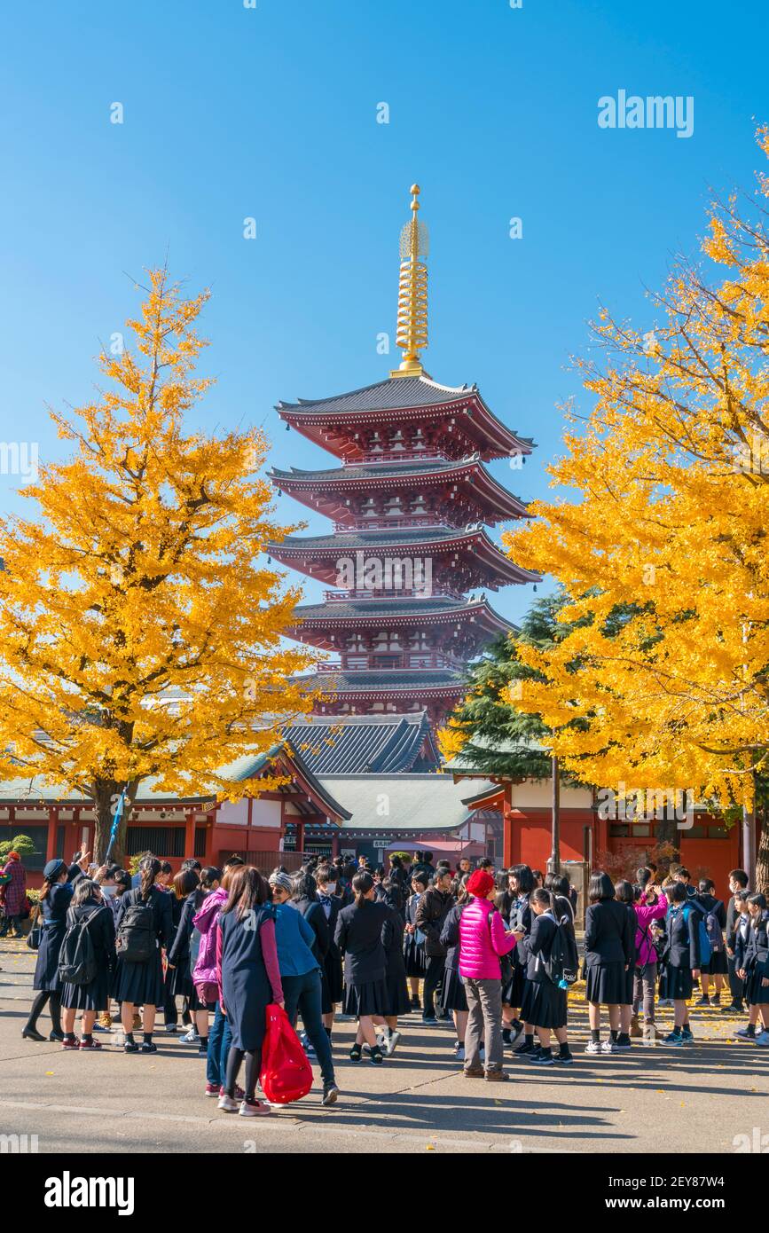 Die fünfstöckige Pagode steht am Sensoji-Tempel Asakusa Tokyo Japan. Stockfoto