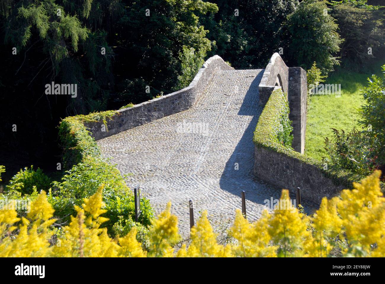 Blick nach Südwesten über den Brig o' Doon, Ayrshire, Schottland Stockfoto