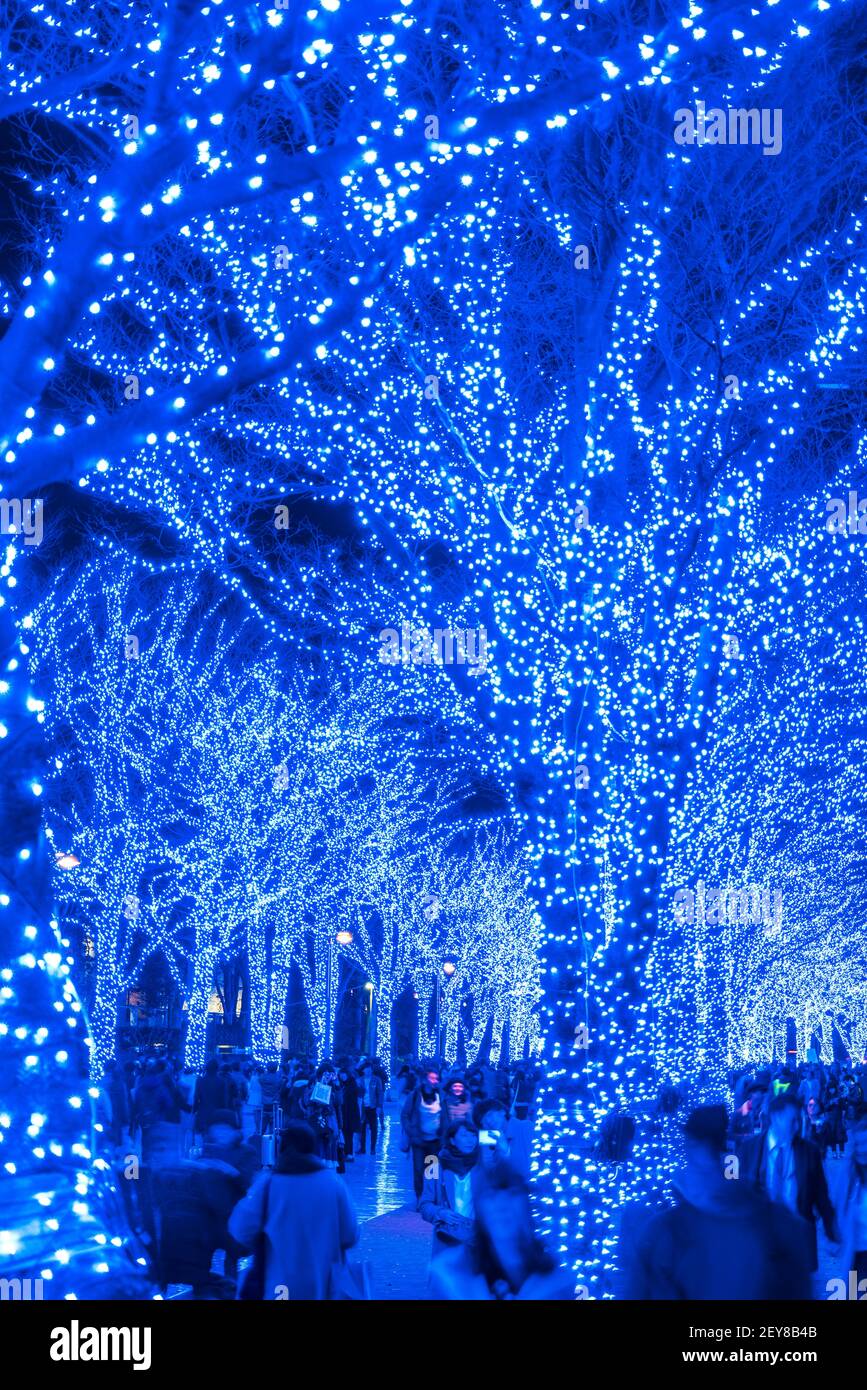 Eine Menschenmenge geht hinunter und macht Fotos in der Blue Cave Keyaki Namik, die von Millionen Blue LED Lights im Shibuya Tokyo beleuchtet wird. Stockfoto