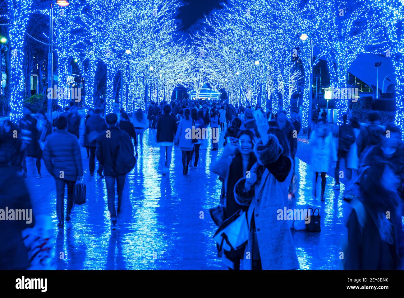 Eine Menschenmenge geht hinunter und macht Fotos in der Blue Cave Keyaki Namik, die von Millionen Blue LED Lights im Shibuya Tokyo beleuchtet wird. Stockfoto