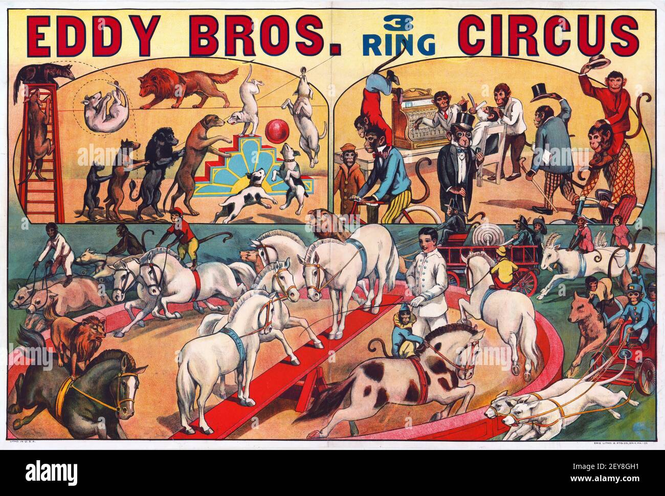 Eddy Bros. 3 Ring Circus. Klassisches Zirkusposter, alt und vintage. Zirkustiere. Weiße Pferde. Hunde. Affen. Stockfoto