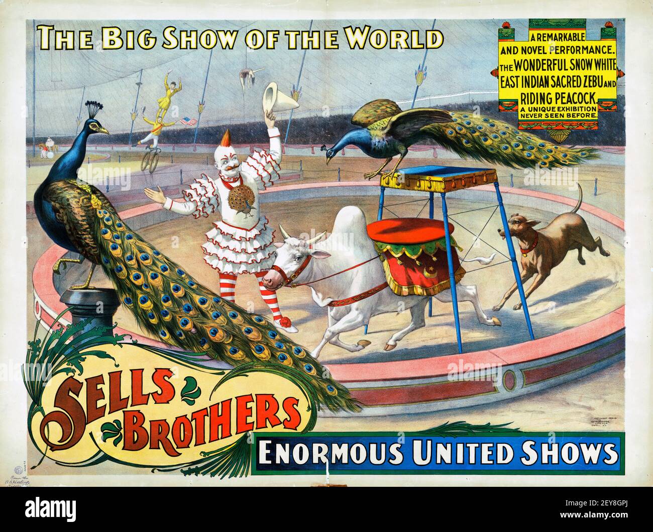 Verkauft Brothers' enorme united Shows. Klassisches Zirkus-Poster, alt und Vintage-Stil. Stockfoto