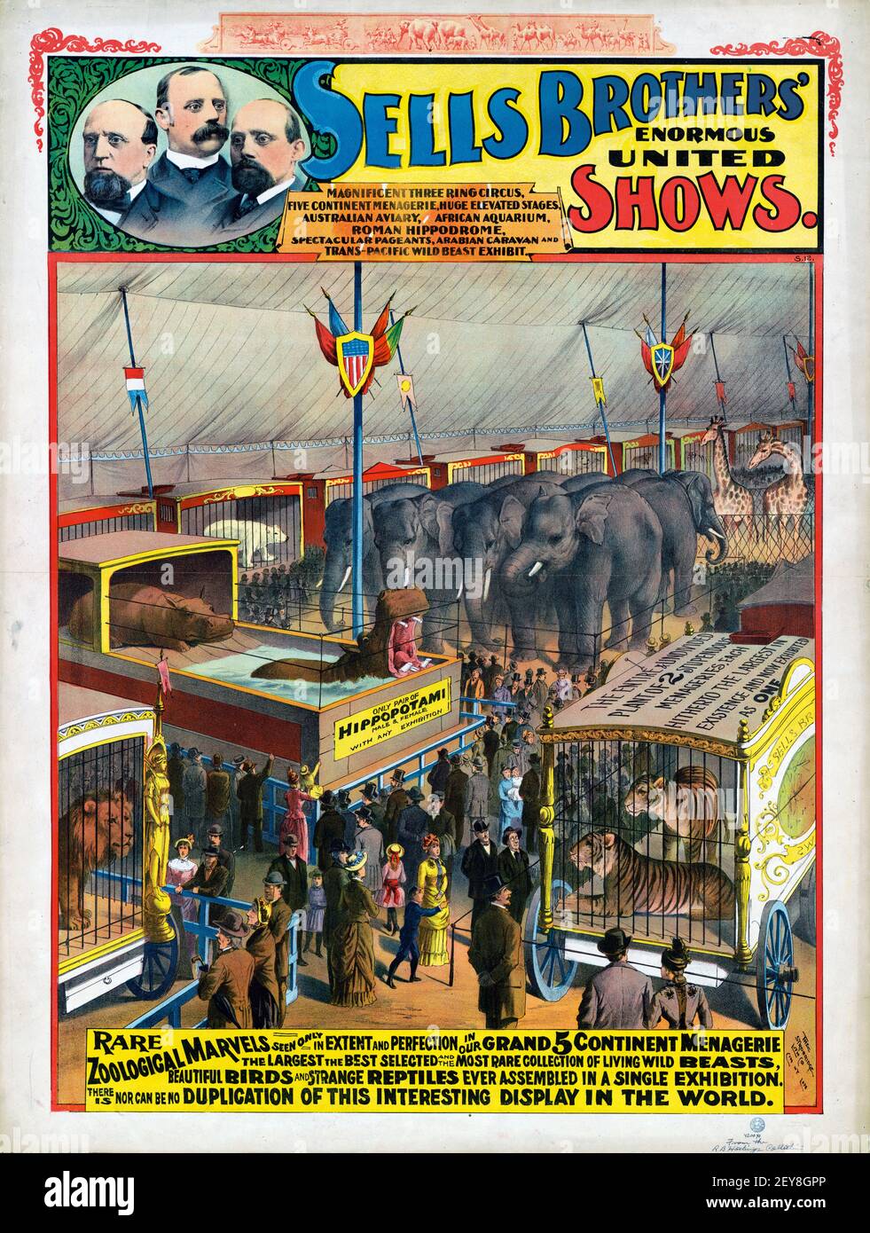 Verkauft die riesigen united-Shows von Brothers. Klassisches Zirkusposter, im alten und Vintage-Stil. 1890s. Tiere in Käfigen. Zoologische Wunder. Stockfoto