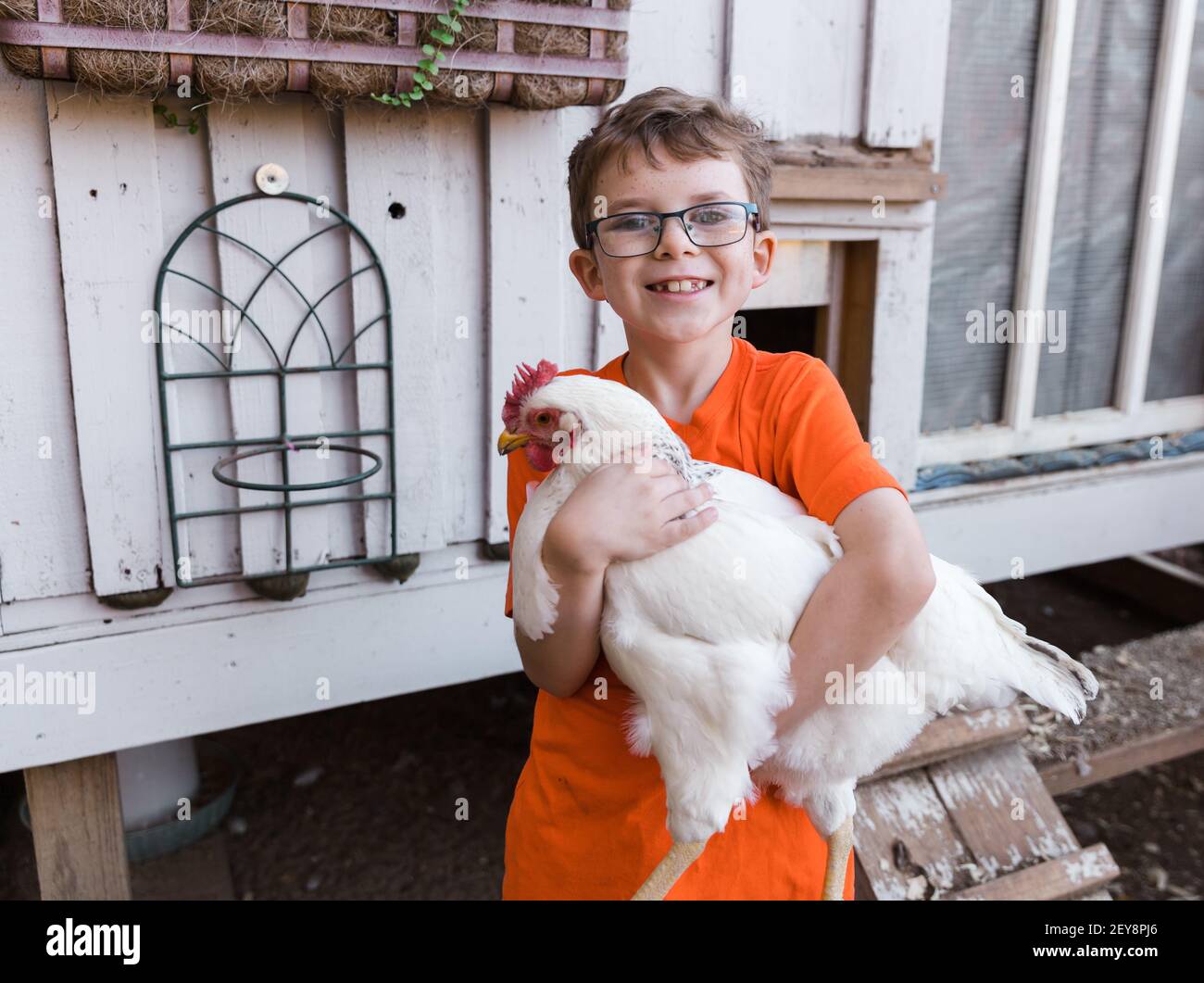 Kleiner Junge mit Hühnchen im Hinterhof Stockfoto