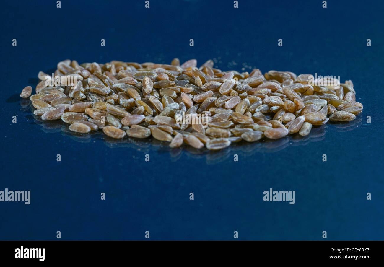 Ein Nahaufnahme eines Stapels Getreidekörner auf Ein blauer Hintergrund Stockfoto