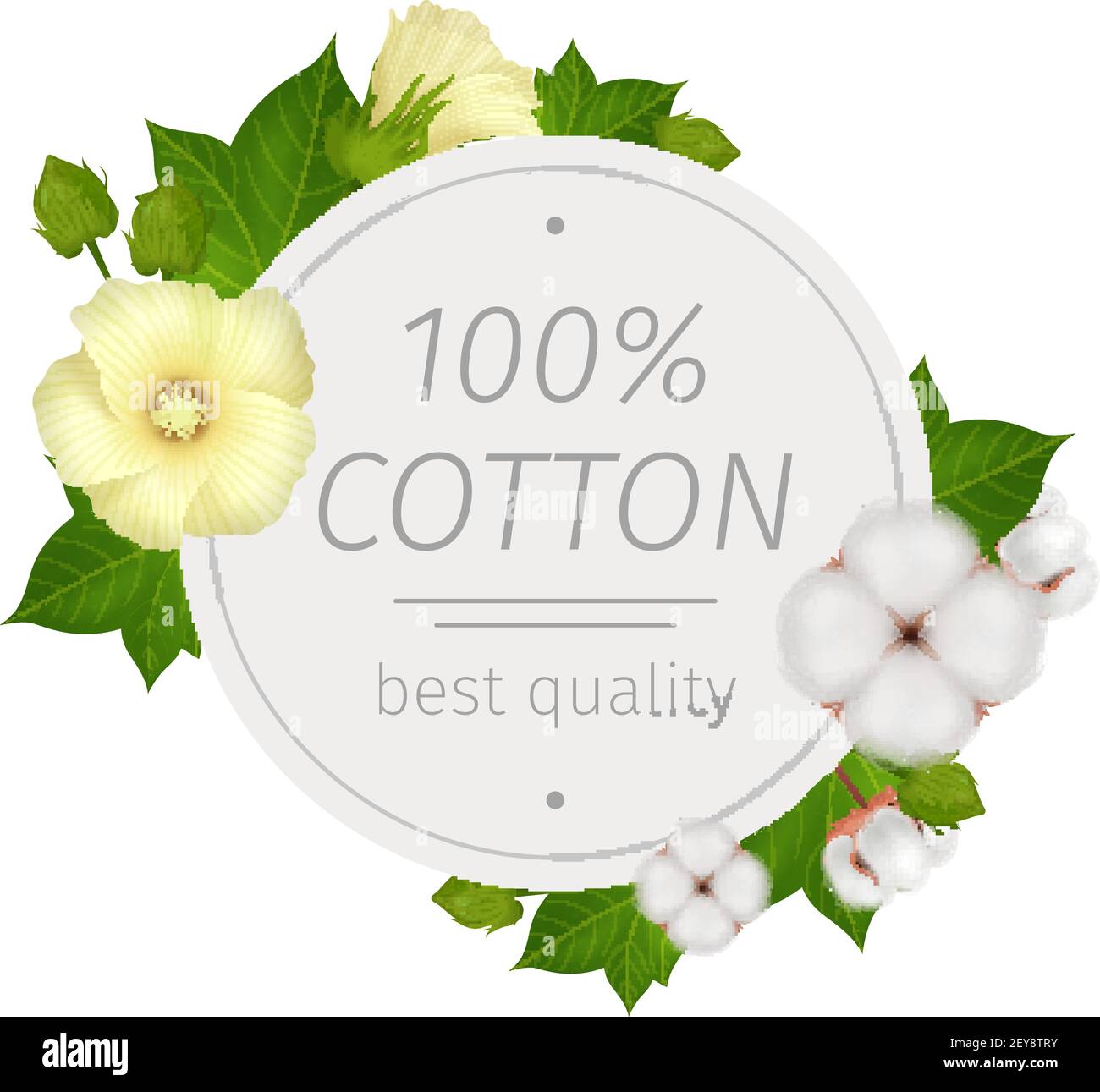 Baumwollblume realistische runde Zusammensetzung mit bester Qualität Beschreibung und Blumen um Vektor-Illustration Stock Vektor