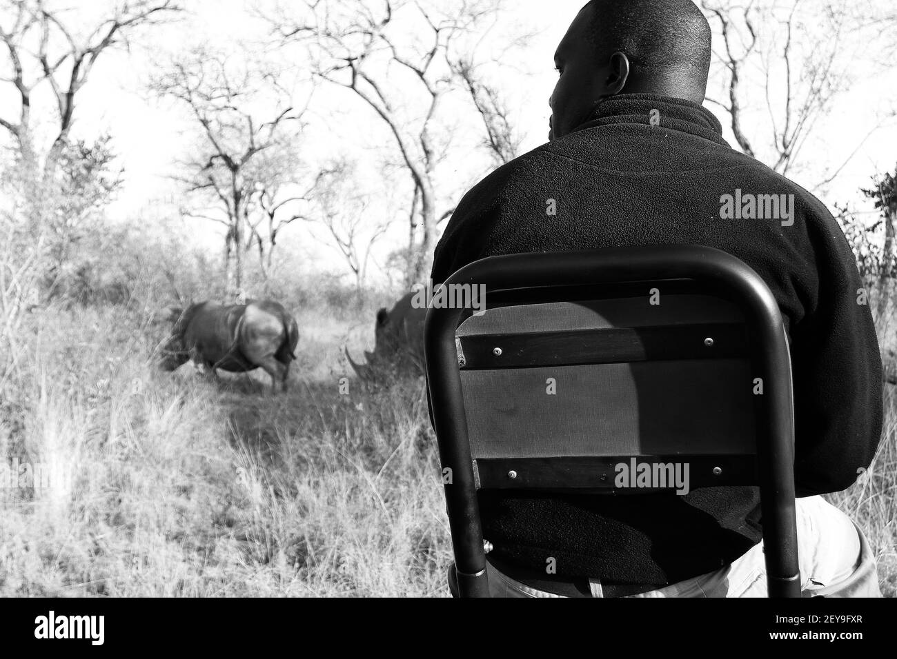 SABI SAB, SÜDAFRIKA - Jan 05, 2021: Sabi Sabi, Südafrika - July 4, 2012: Safari Guides Tracking Tiere in einem Naturschutzgebiet Stockfoto