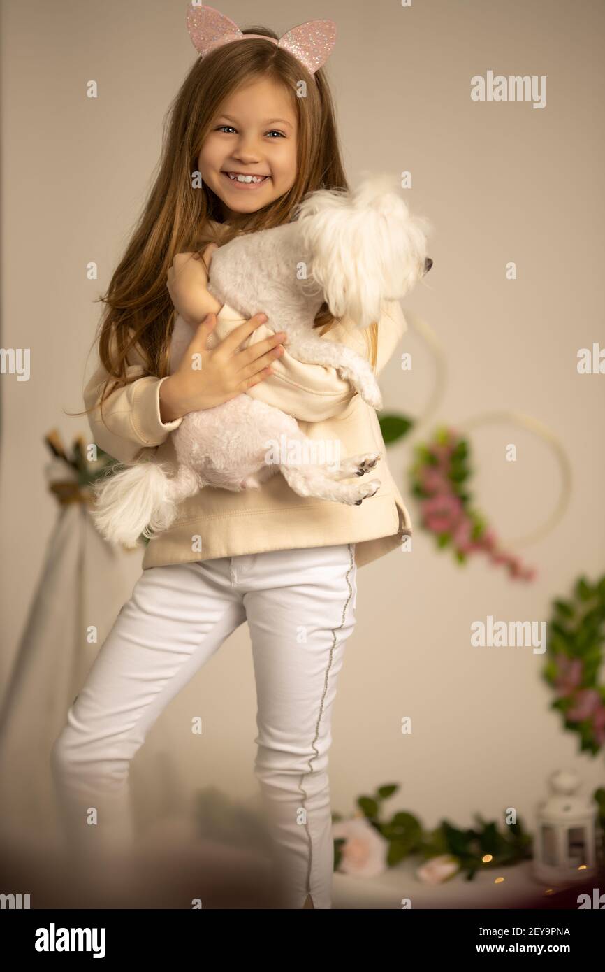 Schöne schöne fröhliche Mädchen hält ihr Haustier Lapdog über beige Background. Liebe für Haustiere Stockfoto