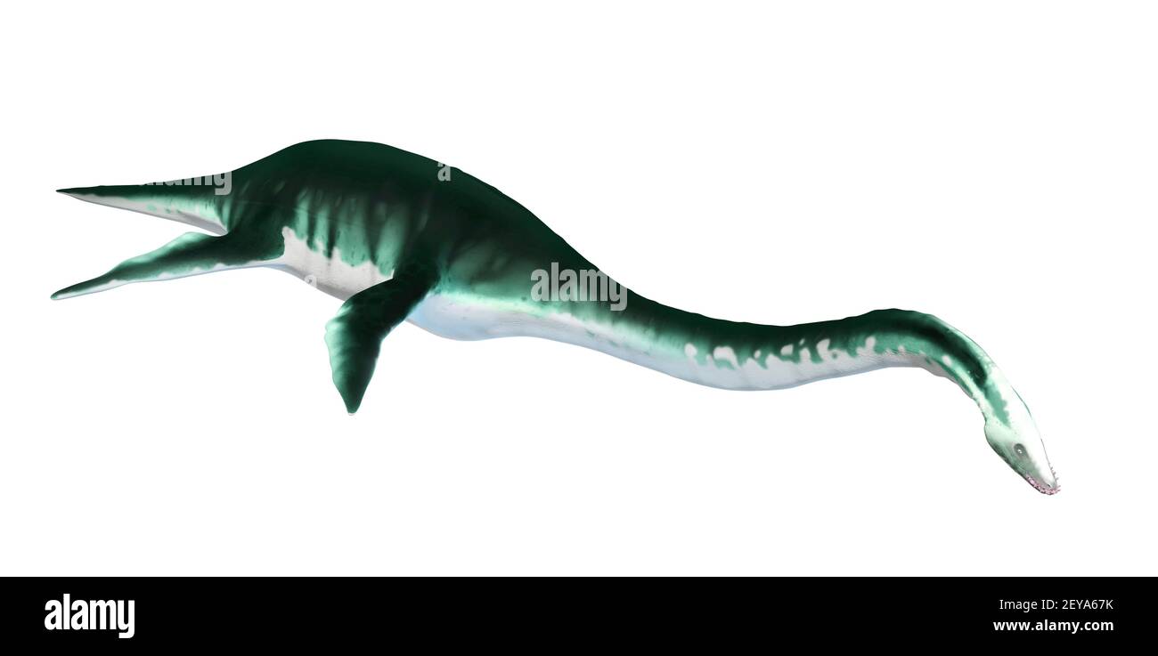 Kunstwerk eines Plesiosauriers Stockfoto