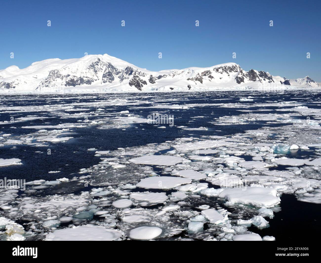 Gebrochenes Meereis, Antarktis Stockfoto