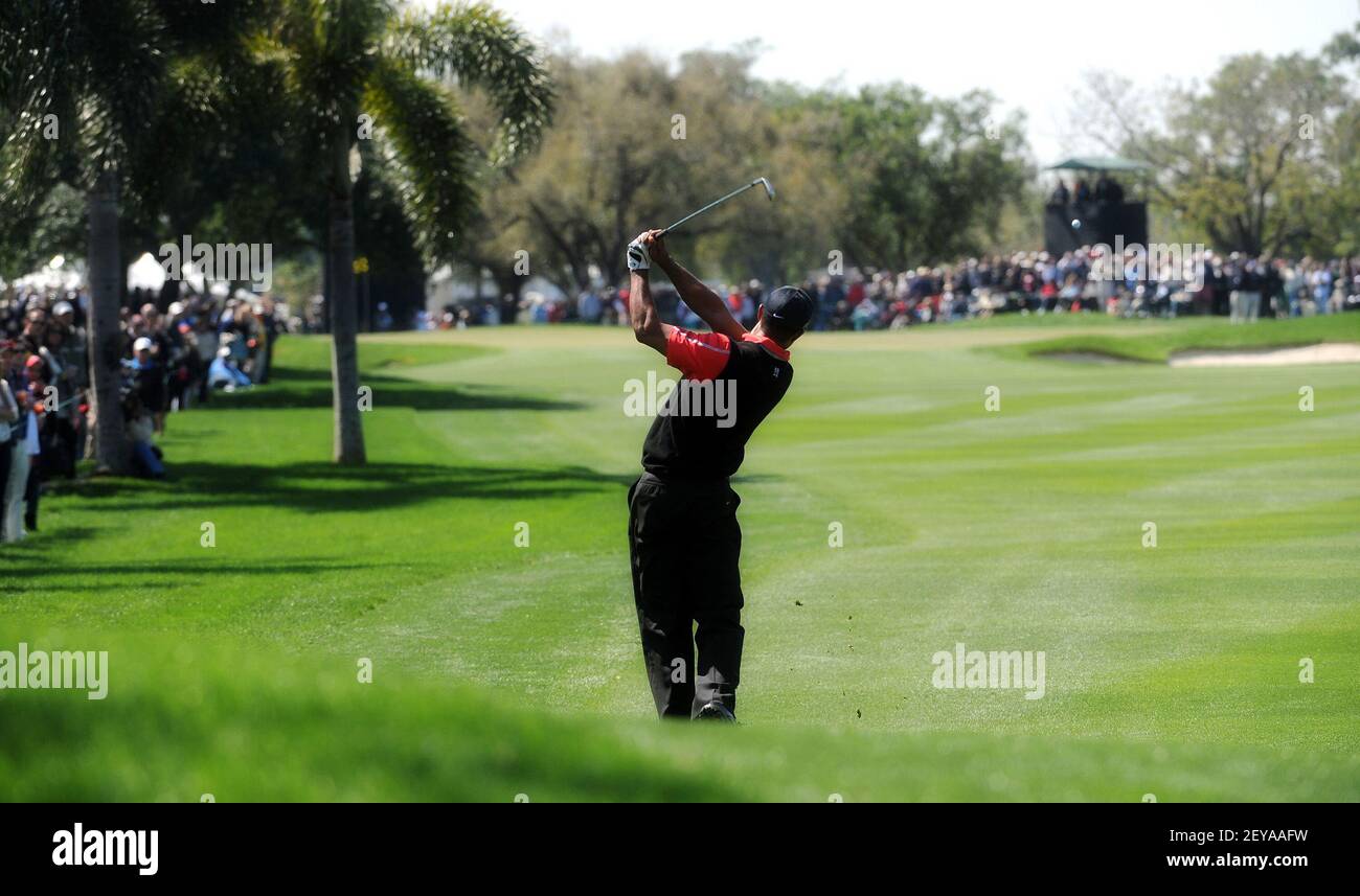 Mär 3 2013 - Palm Beach Gardens, Florida -Tiger Woods trifft seine Annäherung an die 10th grün während der Finalrunde des Honda Classic in Palm Beach Gardens, Florida, Sonntag, 3. März 2013. (Scott Fisher/Sun Sentinel/MCT/Sipa USA) Stockfoto