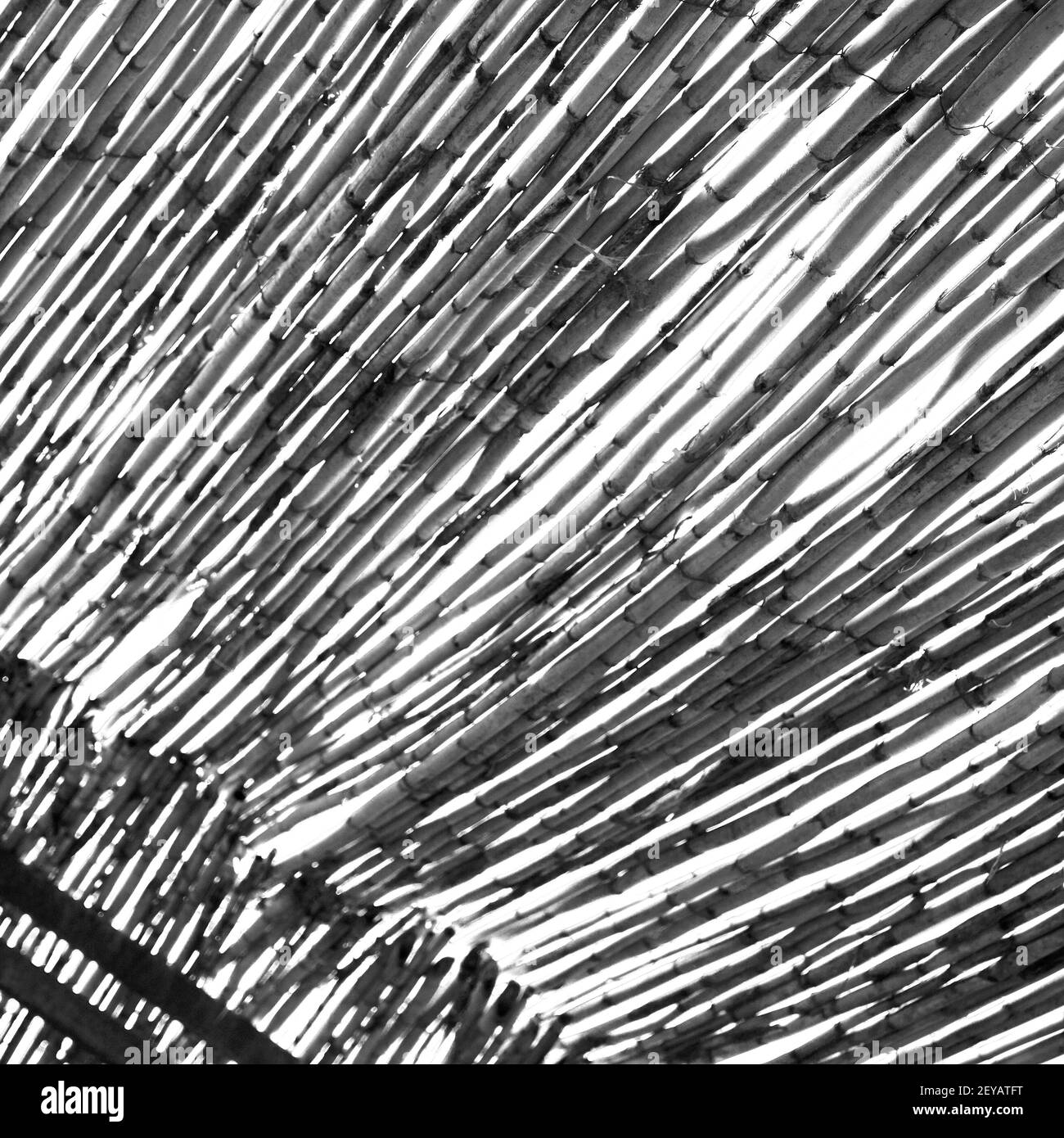 Marokko abstraktes Bambusdach in Afrika Himmel Stockfoto