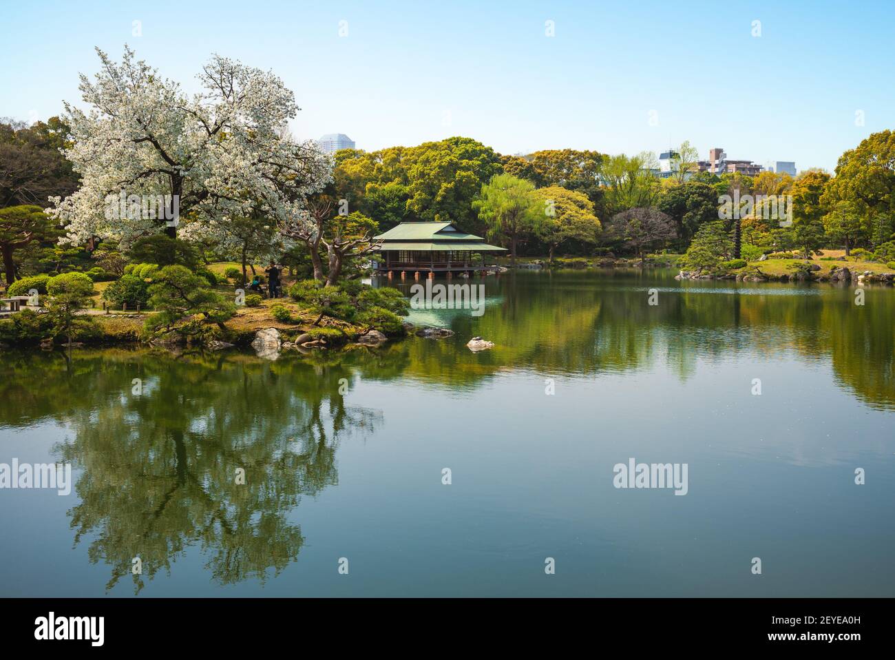 Kiyosumi Garten mit Kirschblüte in Tokyo, Japan Stockfoto