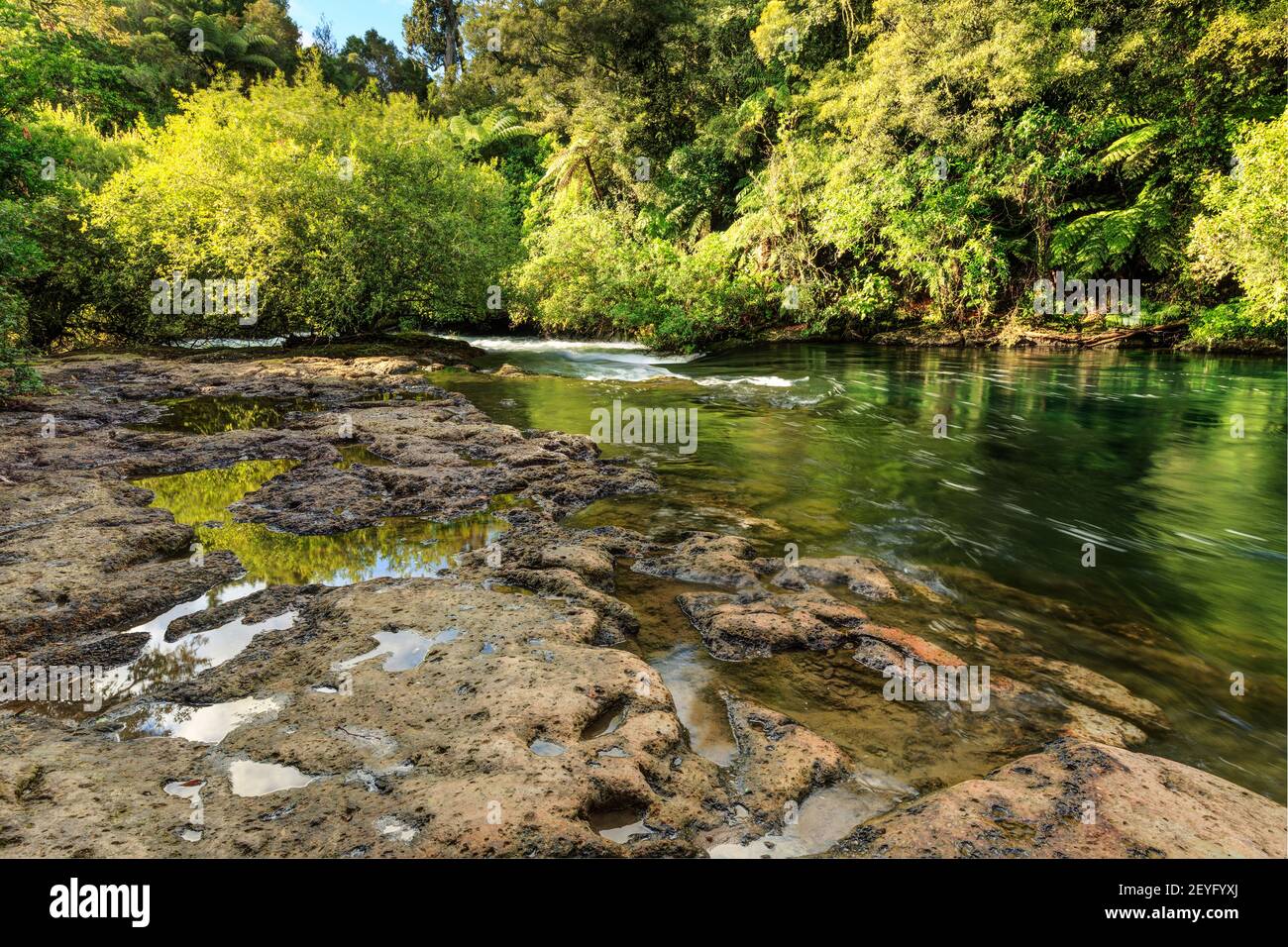 Ein Fluss, der durch den neuseeländischen Urwald fließt. Die Strömung hat Muster erodiert und Gesteinsbecken in das Flussufer Stockfoto