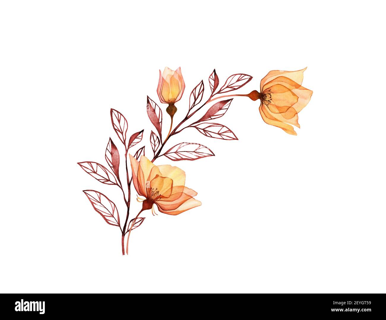 Aquarell Rose Zweig. Vintage gelbe Blüten mit Knospe und Blätter isoliert auf weiß. Handbemalter runder Blumenbogen. Botanische Illustration für Karten Stockfoto