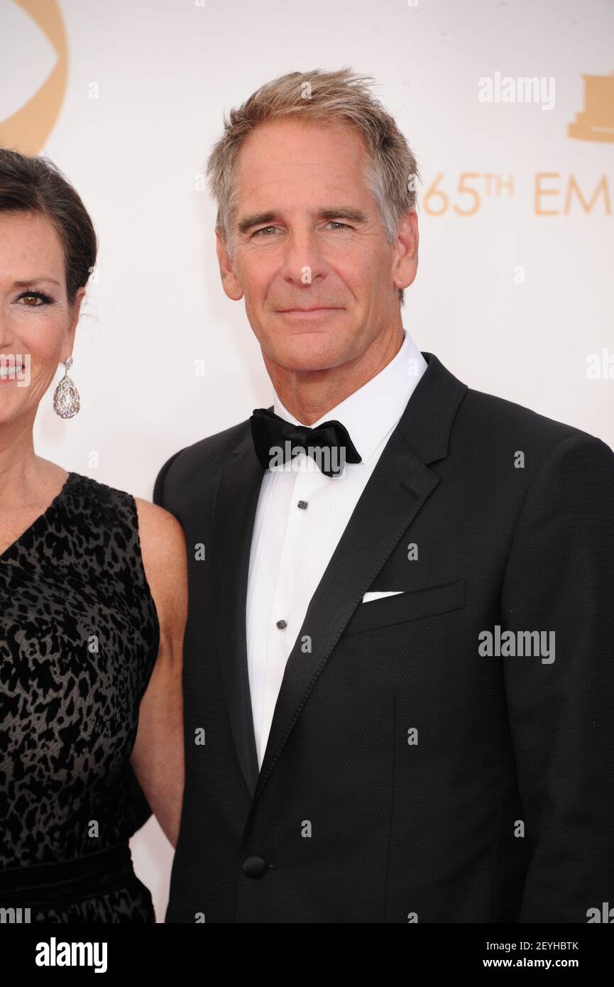 Chelsea field scott bakula Fotos und Bildmaterial in hoher Auflösung