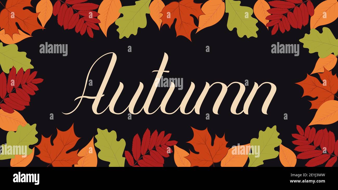 Helle Illustration mit Herbstblättern in Form eines Rahmens. Kalligrafische Inschrift Herbst, kann verwendet werden, um saisonale Verkäufe und Rabatte zu werben. Stock Vektor