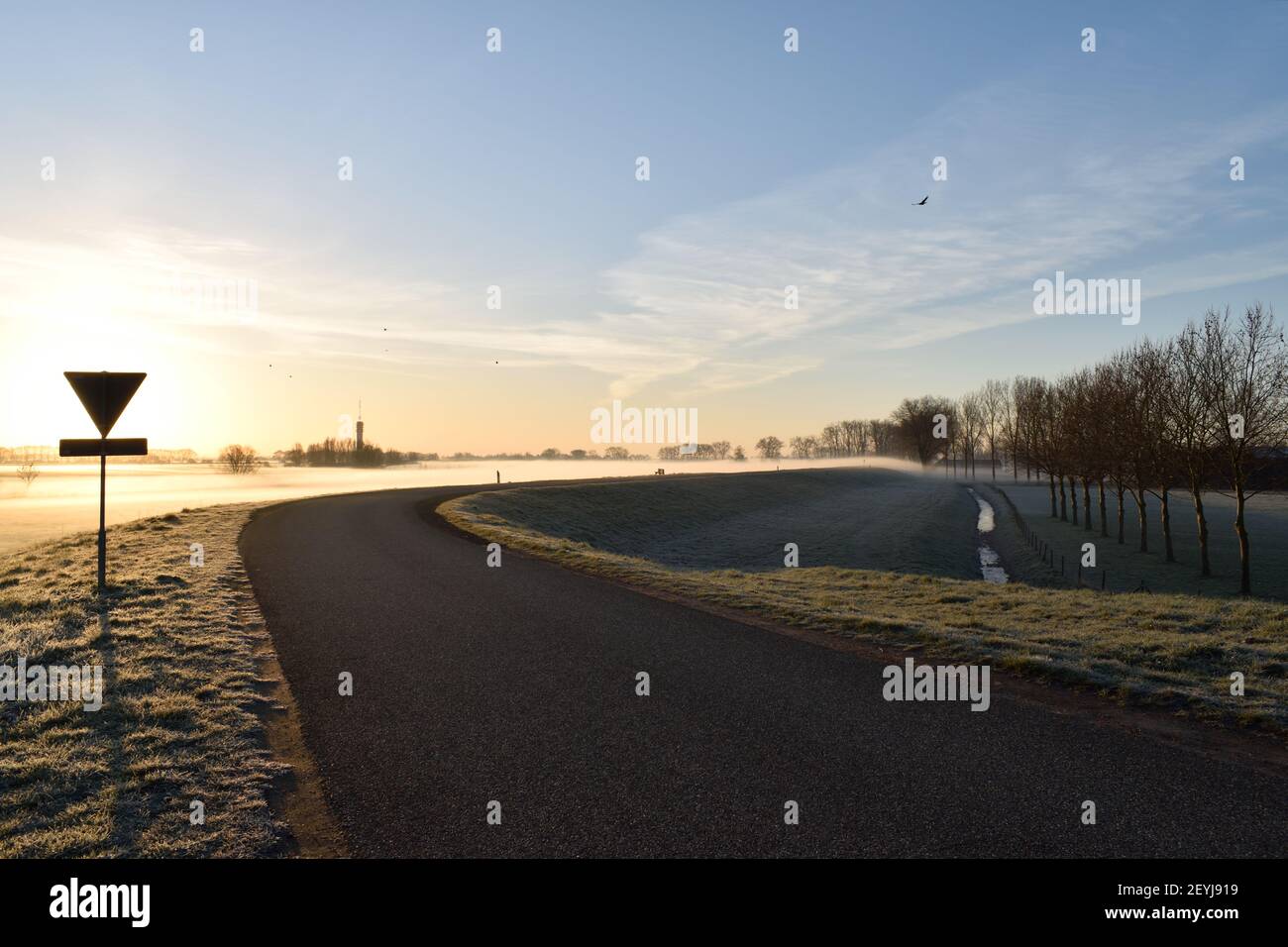 Eine aufgehende Morgensonne scheint auf einer kurvenreichen niederländischen Straße mit einem Bodenfrost in der Nähe von Oss, Niederlande Stockfoto