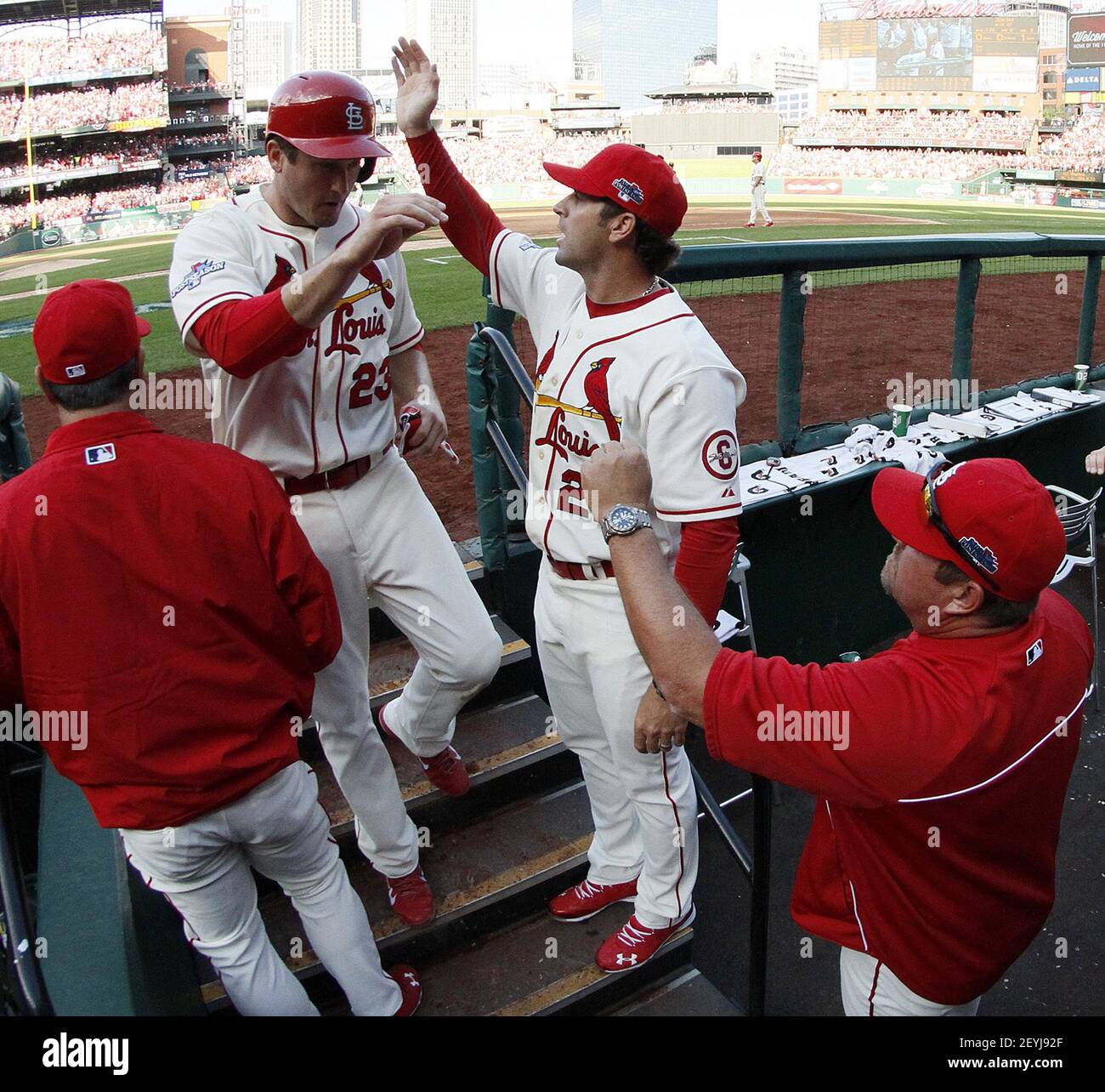 Der St. Louis Cardinals' David Freese (23) wird von Manager Mike ...