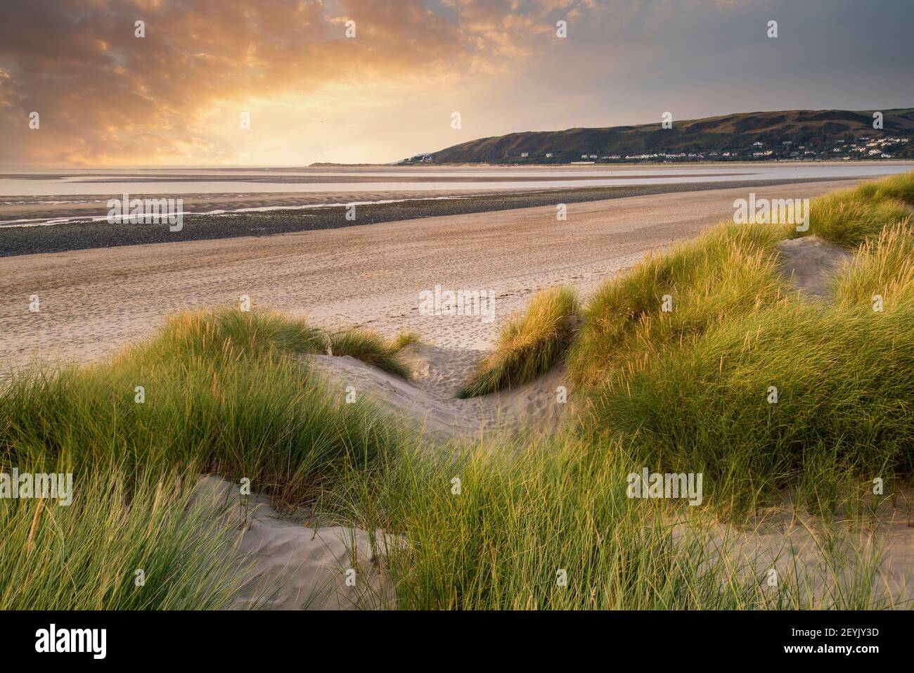 Abend Sommerlandschaft über grasbewachsene Dünen am Strand Stockfoto