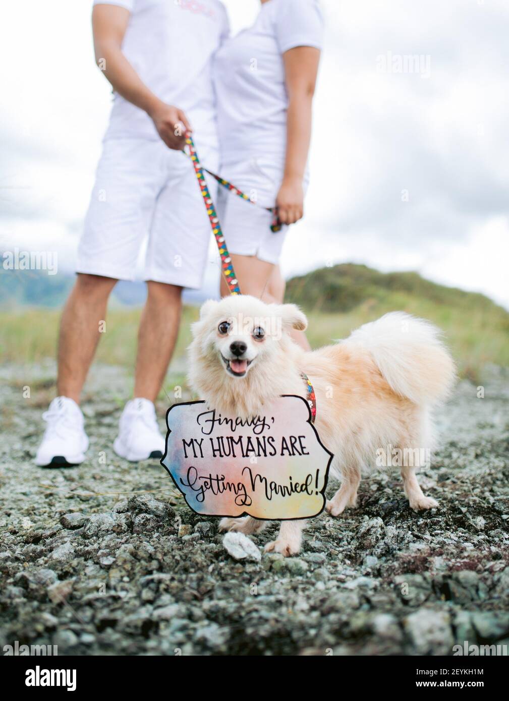 endlich verheiratet stockfotos und bilder kaufen alamy