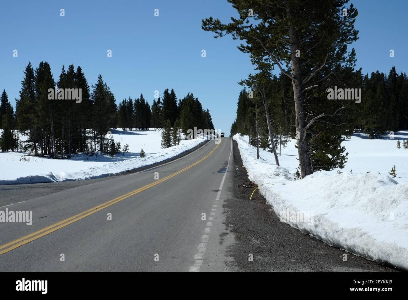 Yellowstone Nationalpark, Wyoming Stockfoto