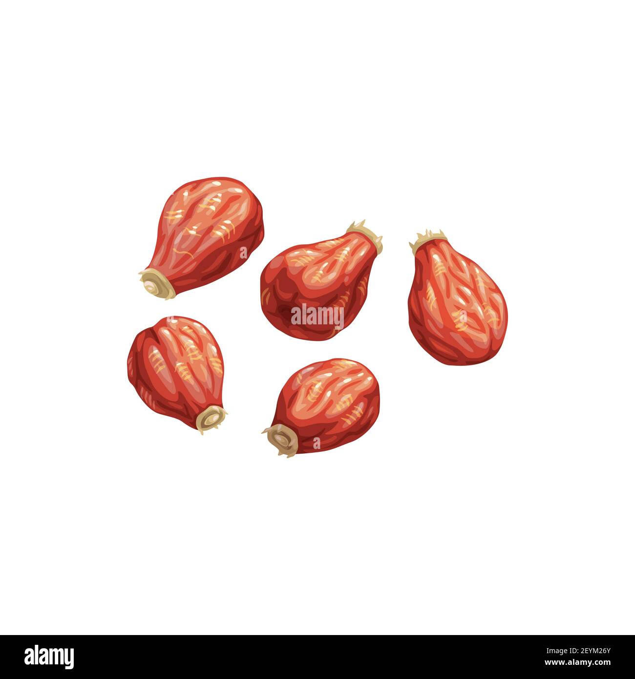 Rose hip getrocknete Früchte, trockene Lebensmittel Snacks Vektor-Symbol. Getrocknete Hagebutten, fruchtige Süßigkeiten, Ernährung und vegetarische natürliche Bio-Lebensmittel, gesund vegan Stock Vektor