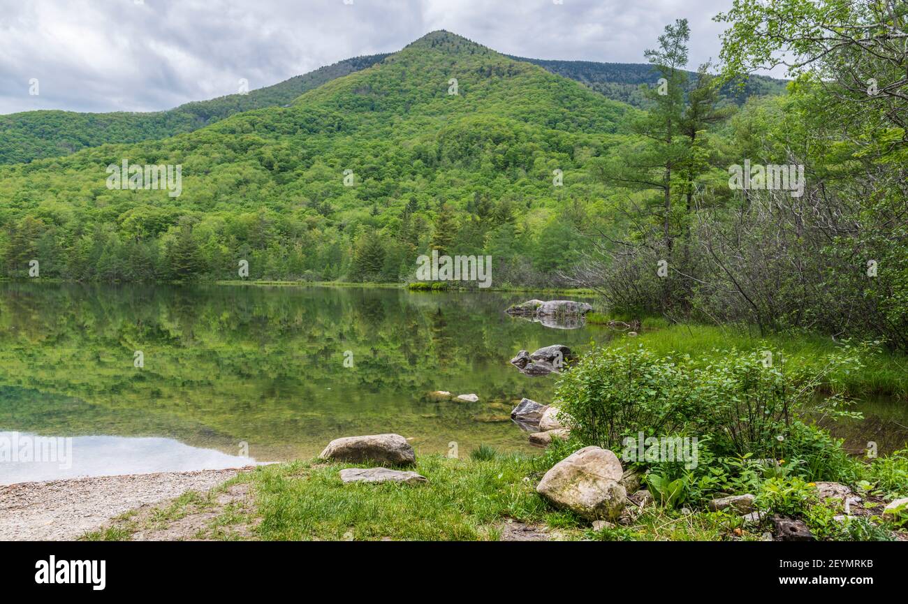 Sommerszene von Mount Equinox mit wunderschönen grünen Farben entlang eines Teichs außerhalb von Manchester Village, Vermont. Stockfoto