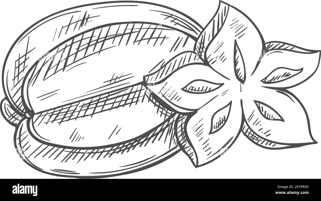 Carambola isoliert ganze und schneiden Frucht Skizze. Vektor Starfruit Stern Form Scheibe, exotische tropische Nahrung Stock Vektor