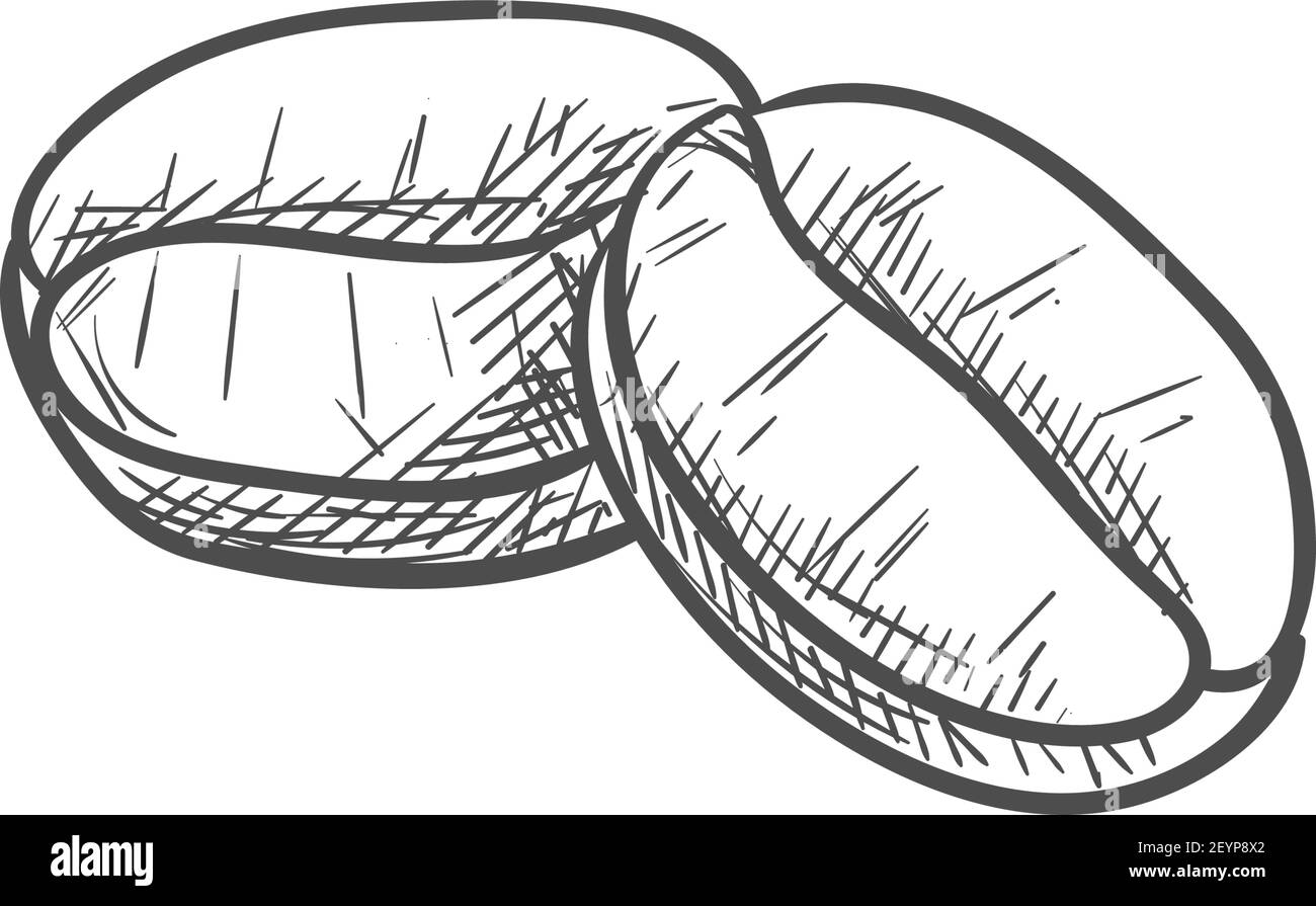 Kaffeebohnen isoliert geröstete Körner. Vector Espresso Getränk Zutaten, aromatische Samen Stock Vektor